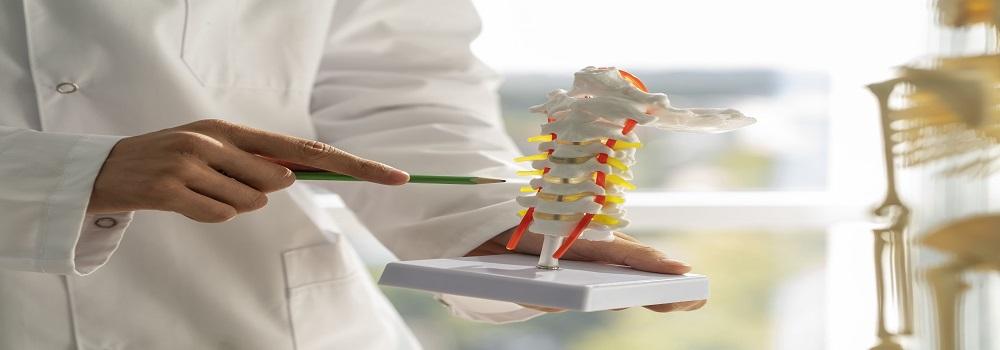 Best Spine Doctor in Noida