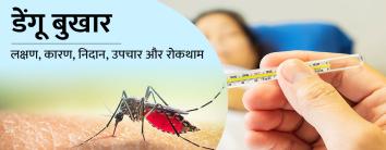 dengue fever in hindi