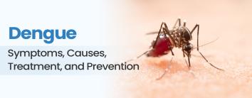treatment of dengue fever