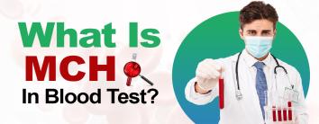 What is MCH in Blood Test
