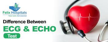 Difference Between ECG and ECHO Test