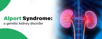 Alport Syndrome: A Genetic Kidney Disorder