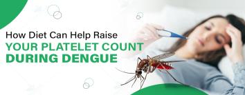 How Diet Can Help Raise Your Platelet Count During Dengue?