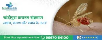 चांदीपुरा वायरस संक्रमण: लक्षण, कारण और बचाव के उपाय