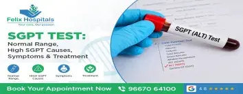 SGPT Test: Normal Range, High SGPT Causes, Symptoms & Treatment