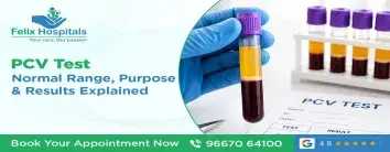 PCV Test: Normal Range, Purpose & Results Explained