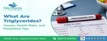What Are Triglycerides